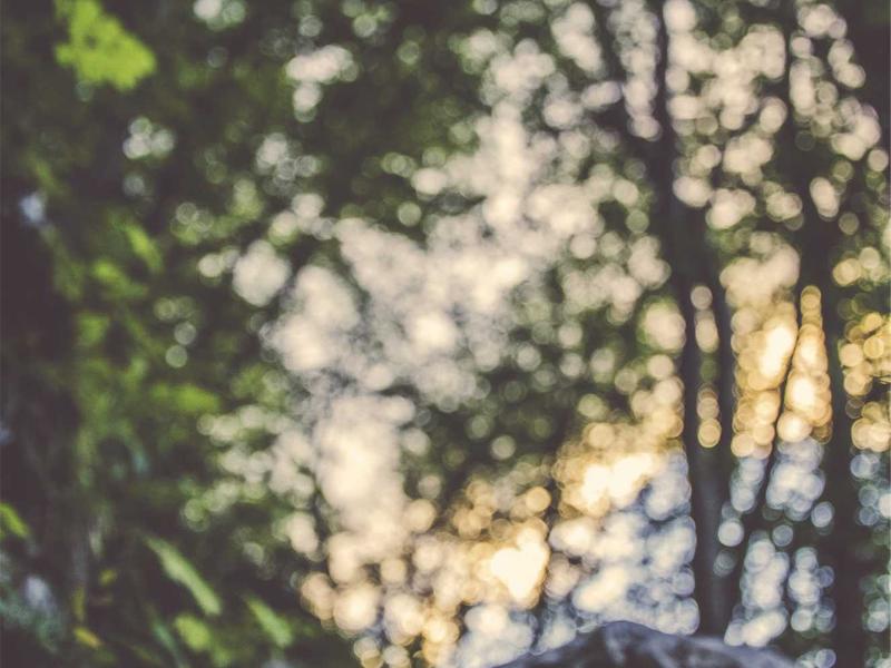 意大利五渔村<br>aamotnk.cn 悬崖彩色房子